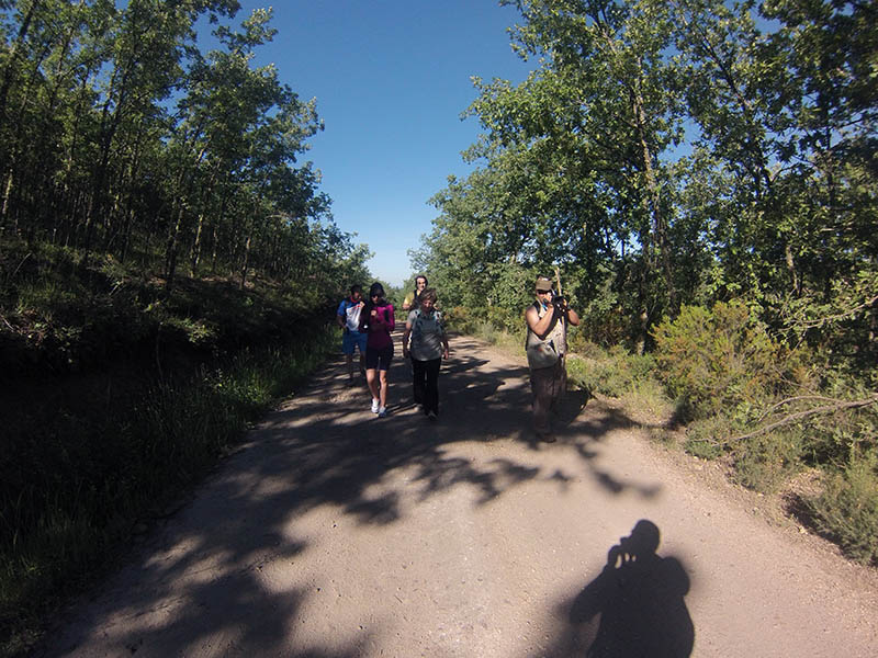 DCIM\100GOPRO