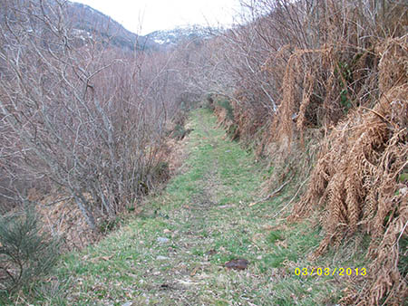 PENTAX DIGITAL CAMERA