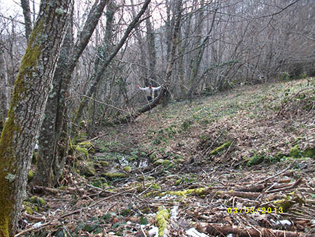 PENTAX DIGITAL CAMERA