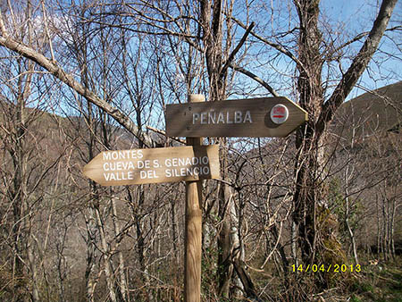 PENTAX DIGITAL CAMERA